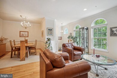 5505 Edson Ln, Rockville, MD 20852 - photo 5