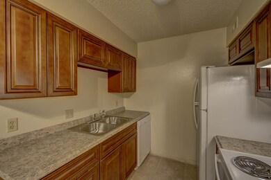 New Cabinets
