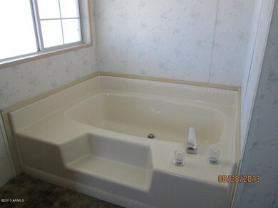 Master Bath Tub