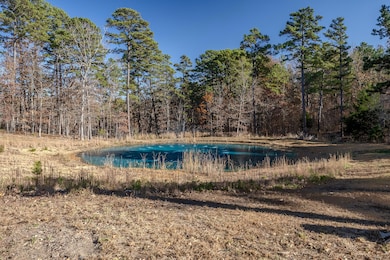 100 Acres and House 31