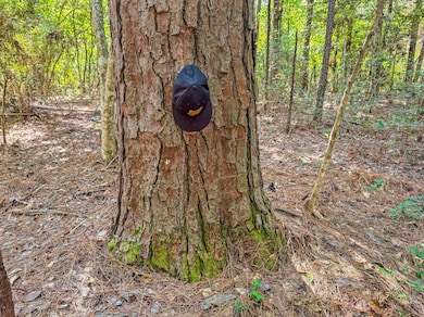 0000 County Road 4926, Fred, TX 77616 - photo 7