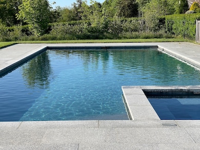 Heated Salt Water Pool with Jacuzzi.