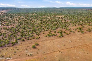 0 Silver Lake Blvd 16 32 Acres, Show Low, AZ 85901 - photo 5