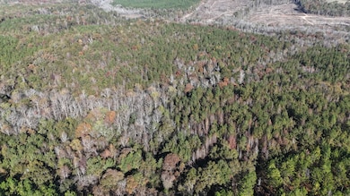 County Rd 1143, Troy, AL 36079 - photo 4