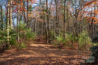 TBD S Fork Trail, Lake Toxaway, NC 28747 - photo 2