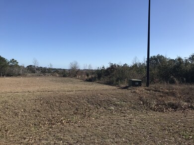 214 Royal Palms Way, Holly Ridge, NC 28445 - photo 2