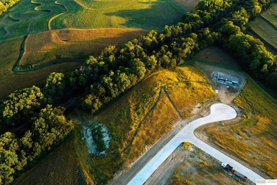 22603 Crestline Cir unit Lot 8, Melia-Forest City Election Precinct, NE 68028 - photo 2