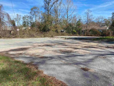 1110 N Columbia St, Covington, LA 70433 - photo 4