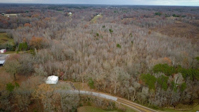 907 Highway 22 unit Evergreen, Dresden, TN 38225 - photo 2