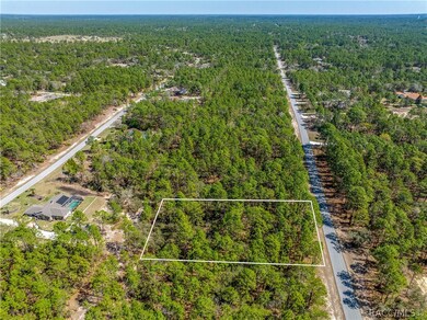 5783 W Cisco St, Beverly Hills, FL 34465 - photo 7