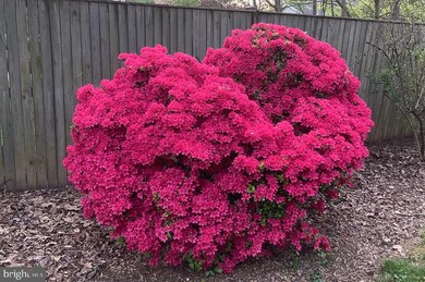 2116 Reynolds St, Falls Church, VA 22043 - photo 5