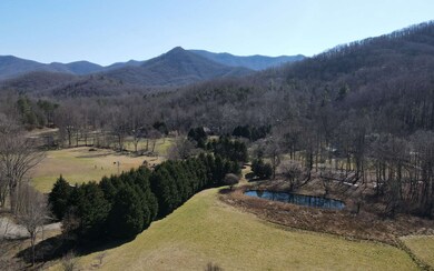 Additional View
