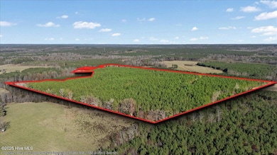 35895 N Carolina 561, Hollister, NC 27844 - photo 3