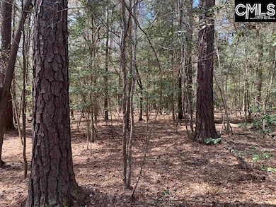 0 Eleazer (Parcel C) Rd unit 621895, Irmo, SC 29063 - photo 5