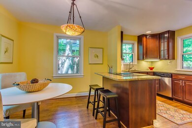 906 Larch Ave, Takoma Park, MD 20912 - photo 7