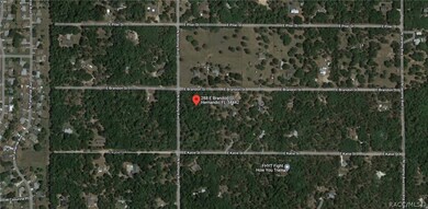 288 E Brandon St, Hernando, FL 34442 - photo 3