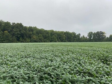 0 St Rt 123 unit 1675576, Perry Township, OH 45107 - photo 5