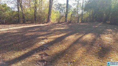 Nice size backyard