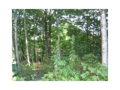 Land/Lot.