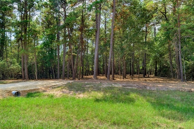 17526 E Terrace Oaks Dr, Waller, TX 77484 - photo 3