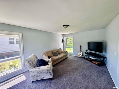 1215 13th St, Viola, IL 61486 - photo 5