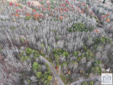 0 Pine Knoll Farms unit 145573, Stuart, VA 24171 - photo 7