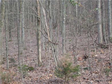 Another view of this lot. Sewanee city water and Duck River Electric are available to this lot.