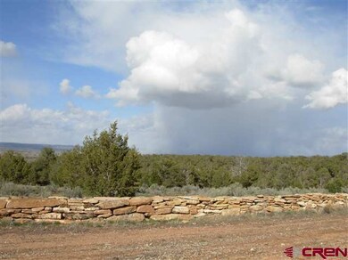 0 Road 21 9 unit 689350, Cortez, CO 81321 - photo 4