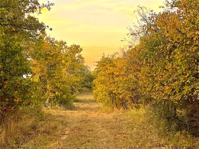 TBD Indian Camp Rd, Weatherford, TX 76087 - photo 4