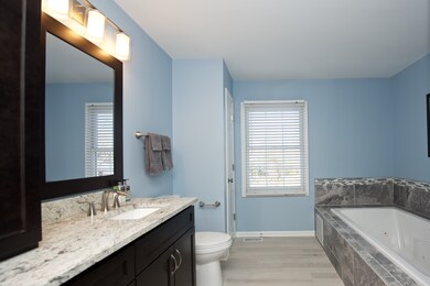 4347 Dairymans Cir, Naperville, IL 60564 - photo 5