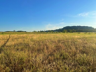 000 W Live Oak St, Fredericksburg, TX 78624 - photo 3