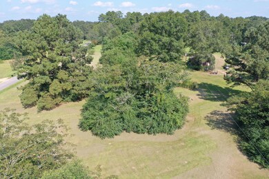 DJI_0154