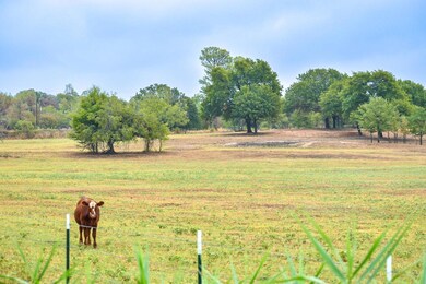 TBD Cr 4698 14 Acres, Boyd, TX 76023 - photo 2