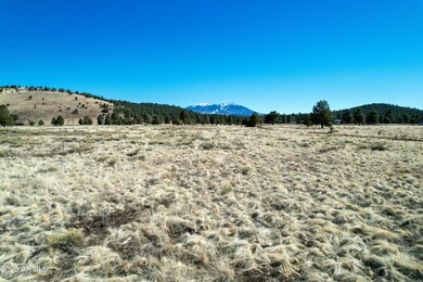 Center Property View
