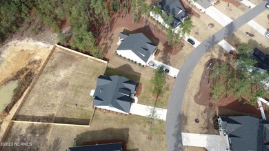 Drone of Fence on LR8DJI_0006