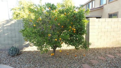 20160314_080758_resized_1