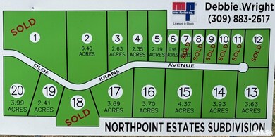 2530 Olof Krans Ave, Galva, IL 61434 - photo 3