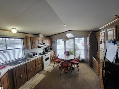 9226 Elsie Ave, Bear Lake, MI 49614 - photo 3