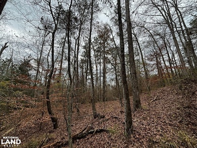 8735 Fernbank Rd, Millport, AL 35576 - photo 7