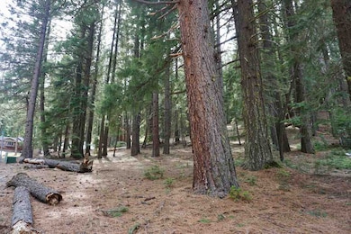 6 Pine Tree Ct, Plumas Eureka, CA 96103 - photo 2