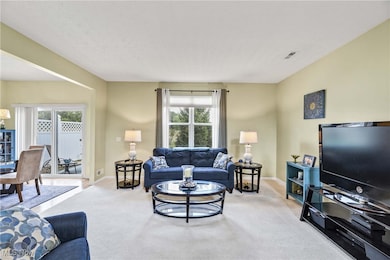 8581 Dunham Dr, Olmsted Falls, OH 44138 - photo 7