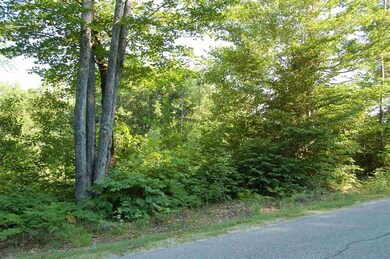 0 Bog Rd unit 4639257, New London, NH 03257 - photo 5