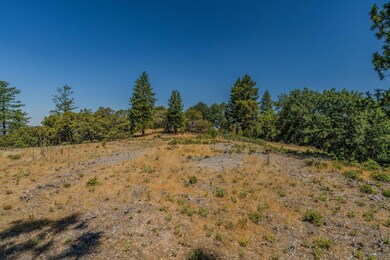 20117 Neilson Rd, Pine Grove, CA 95665 - photo 6