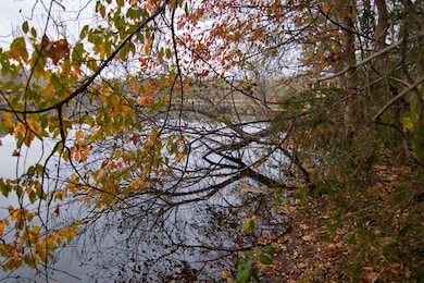 0 E Pine Lake Dr, West Point, GA 31833 - photo 3