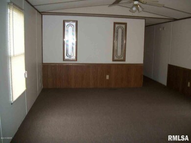 1200 W Raymond St, Harrisburg, IL 62946 - photo 3