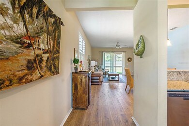 22020 Belgian Ct, Mount Dora, FL 32757 - photo 7