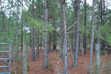 000 Highway 378, Lincolnton, GA 30817 - photo 2