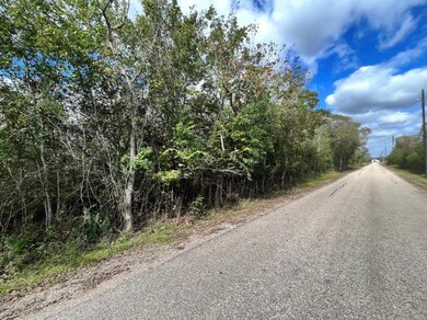 00 Texas County Rd, Manvel, TX 77578 - photo 3