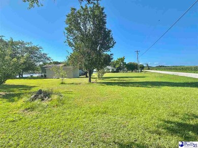 1636 Ralph Bell Rd, Summerton, SC 29148 - photo 3