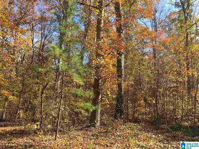 000 Springhollow Dr, Ashville, AL 35953 - photo 7